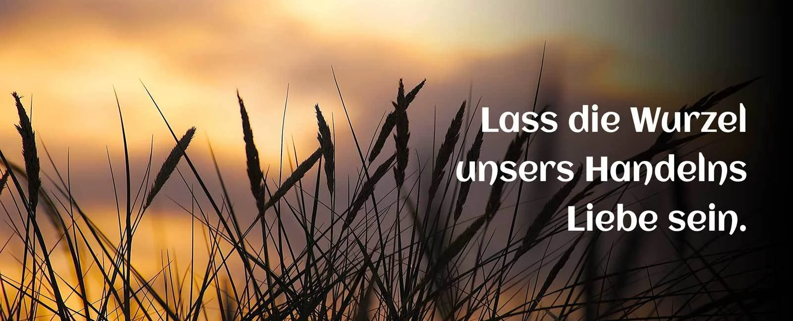 Lass die Wurzel unsers Handelns Liebe sein.